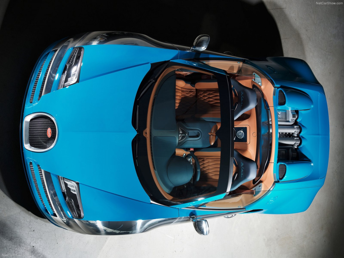 Bugatti Veyron Meo Costantini фото 111432